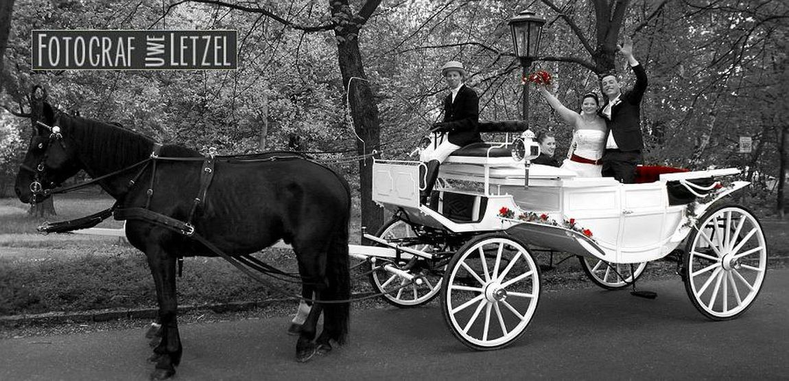 Fotograf Leipzig (Hochzeitsfoto-8) Brautpaar mit Hochzeitkutsche am Standesamt Schloss Machern